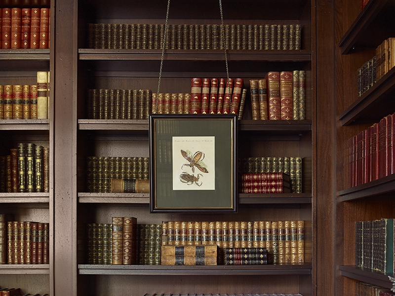 Library-Detail-038-2